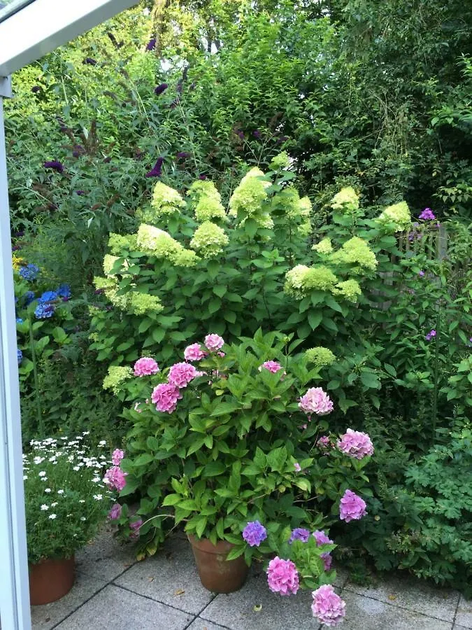 Bed & Breakfast Bigalke Bed & Breakfast Hamburg 0*,  Germany
